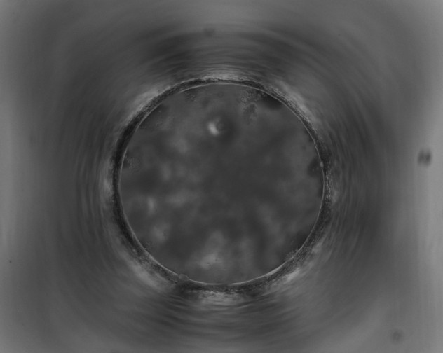 X0000100490347200806201658