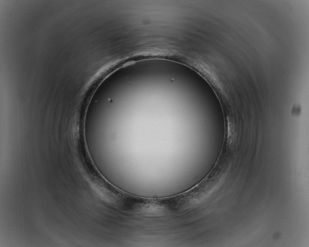 X0000100490348200806201658