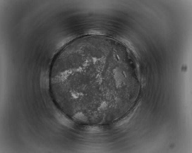 X0000100490349200806201658