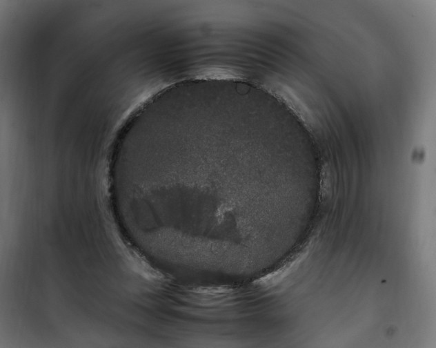 X0000100490351200806201658