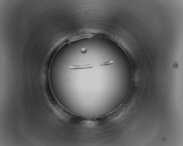 X0000100490352200806201658