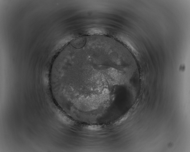 X0000100490353200806201658