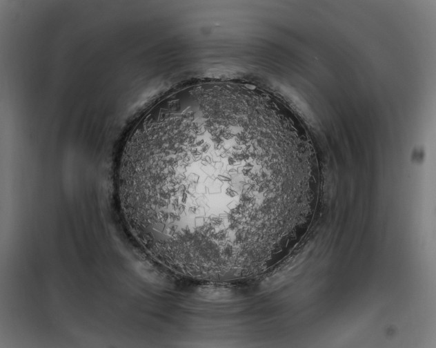 X0000100490354200806201658