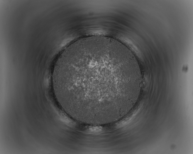 X0000100490355200806201658