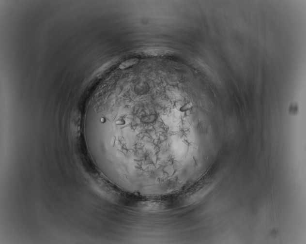 X0000100490356200806201658