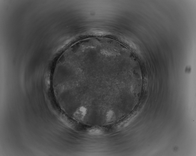 X0000100490358200806201658