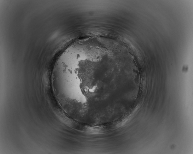 X0000100490359200806201658