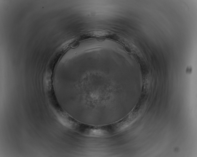 X0000100490360200806201658