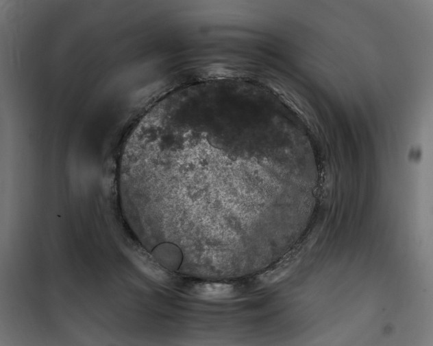 X0000100490361200806201658