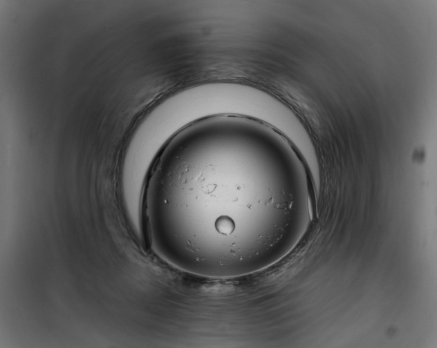 X0000100490362200806201658