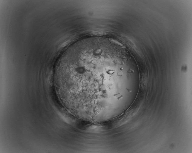 X0000100490364200806201658