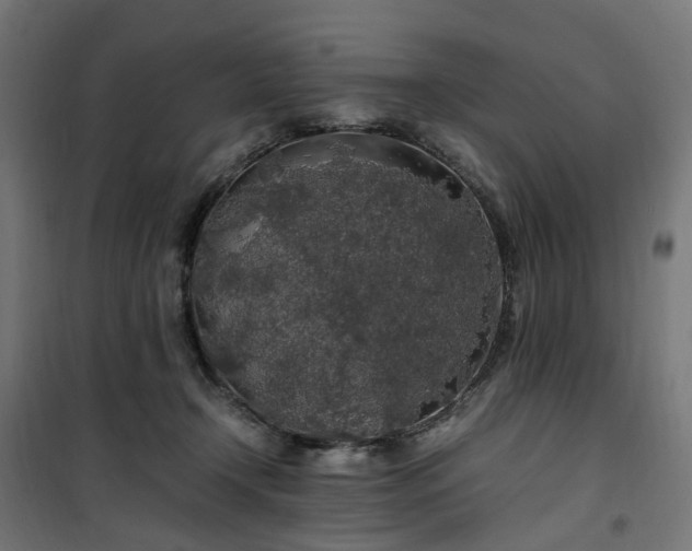 X0000100490366200806201658