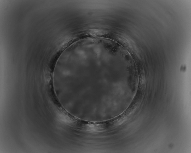 X0000100490367200806201658