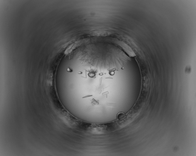 X0000100490368200806201658