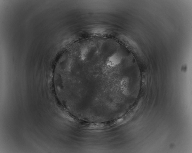 X0000100490369200806201658