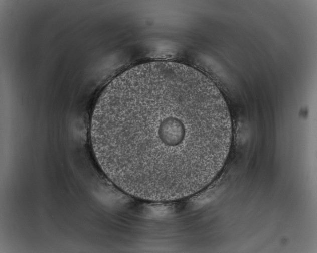 X0000100490370200806201658