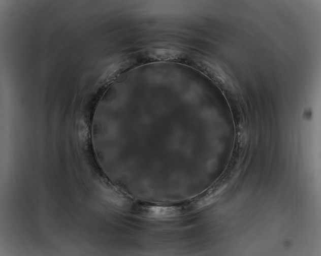 X0000100490371200806201658