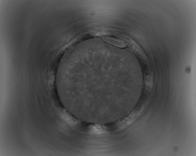 X0000100490372200806201658