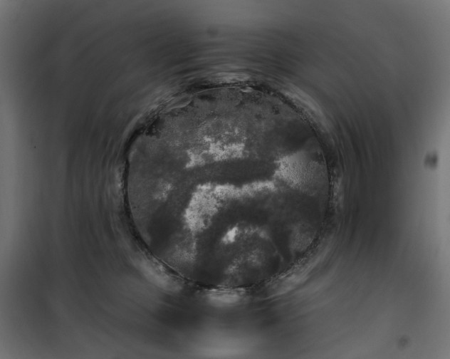 X0000100490373200806201658