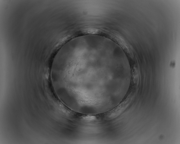 X0000100490374200806201658