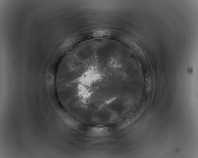 X0000100490375200806201658