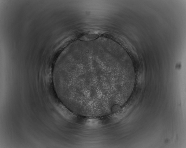 X0000100490376200806201658