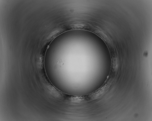 X0000100490378200806201658