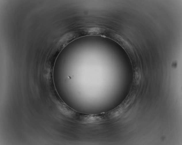 X0000100490379200806201658