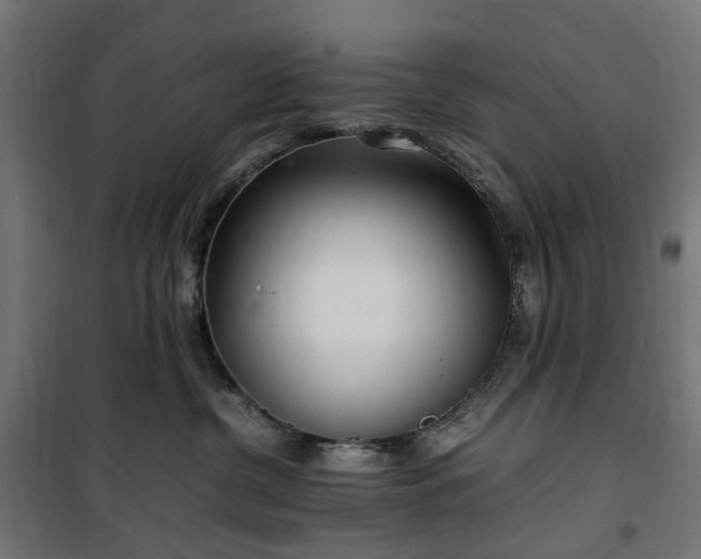 X0000100490380200806201658