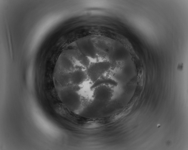 X0000100490381200806201658