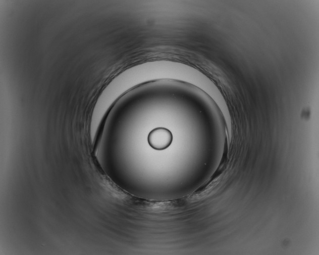 X0000100490382200806201658