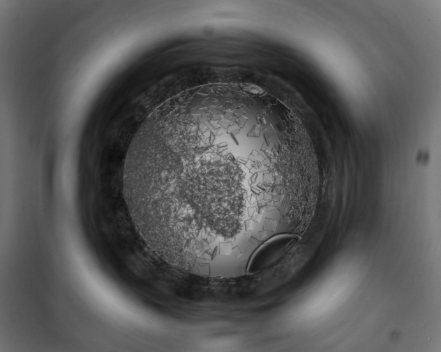 X0000100490383200806201658