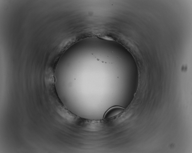 X0000100490384200806201658