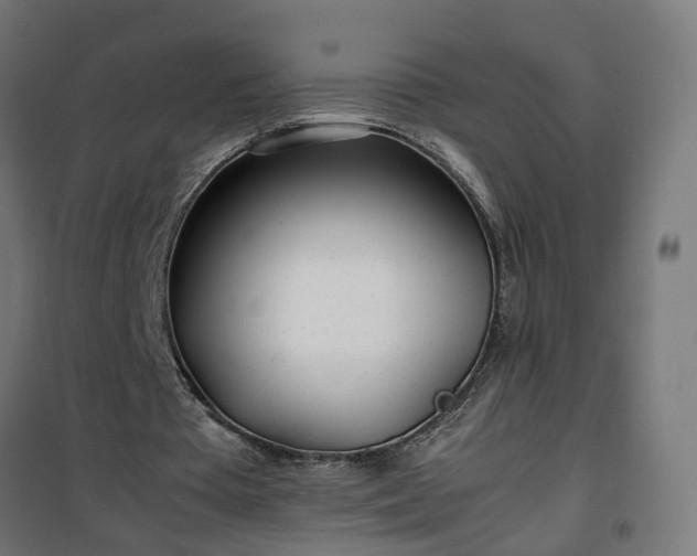 X0000100490385200806201657