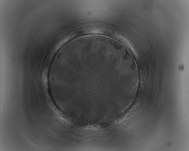 X0000100490386200806201657