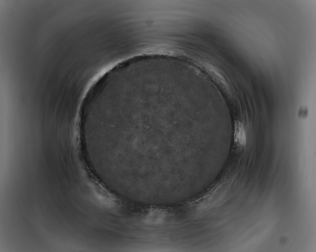 X0000100490388200806201657