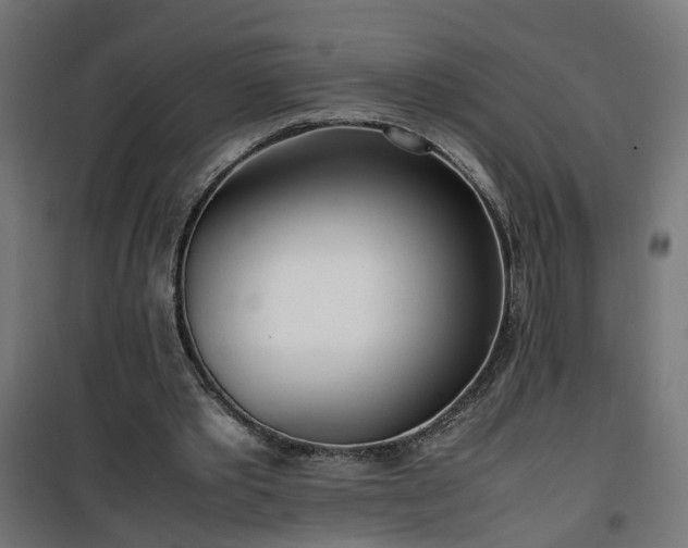 X0000100490389200806201657