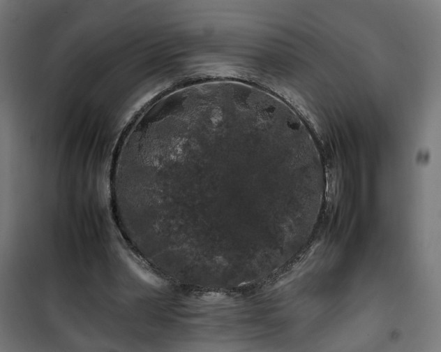 X0000100490390200806201657