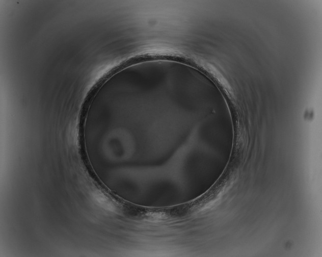 X0000100490391200806201657