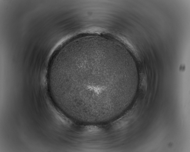 X0000100490392200806201657