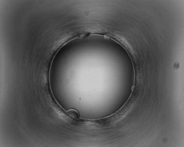 X0000100490393200806201657