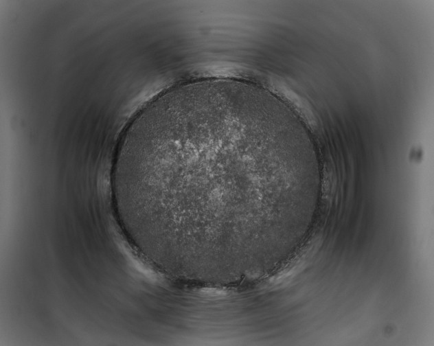 X0000100490394200806201657