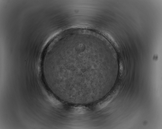 X0000100490396200806201657