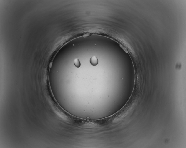 X0000100490397200806201657