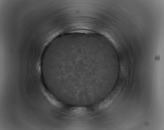 X0000100490398200806201657