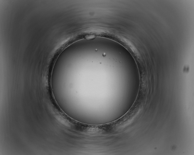 X0000100490399200806201657