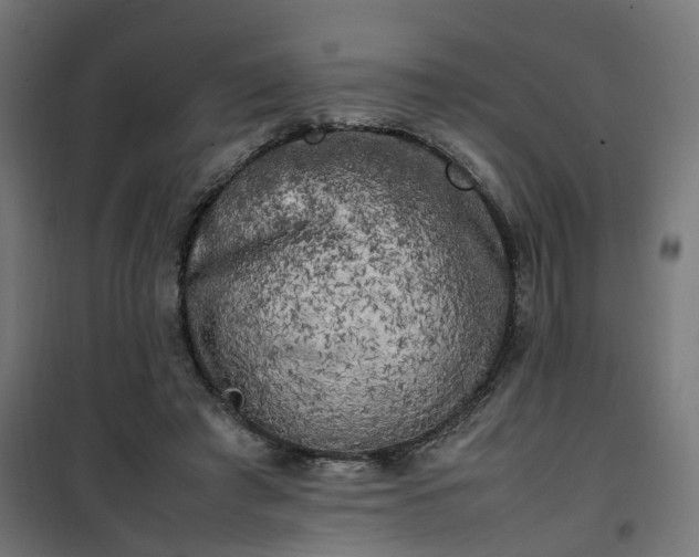 X0000100490401200806201657
