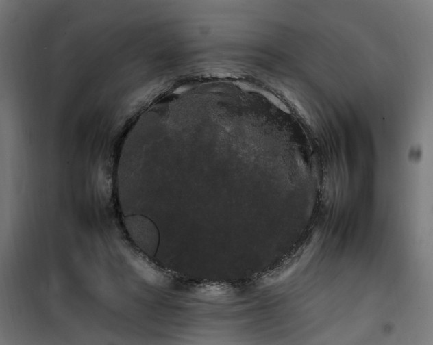 X0000100490402200806201657