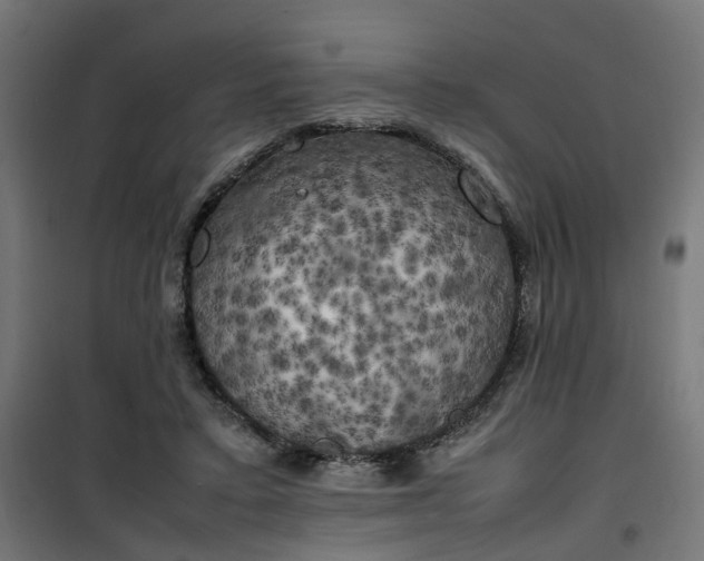 X0000100490403200806201657