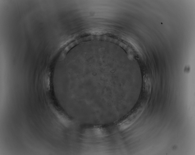 X0000100490404200806201657